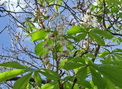 Прикрепленное изображение: DSCF6013.jpg